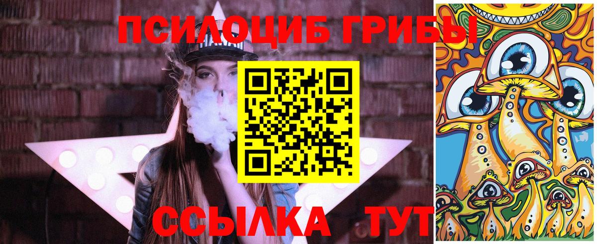Псилоцибиновые грибы GOLDEN TEACHER  продажа наркотиков  Звенигород  Вход с VPN 